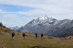 From the newsletter