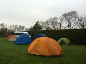 From the newsletter